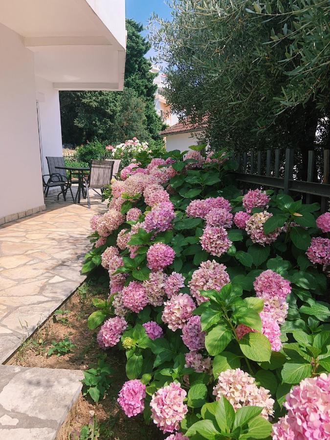 Apartments Hollaj Ulcinj Exterior photo
